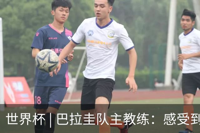世界杯 | 巴拉圭队主教练：感受到比赛的极致压力