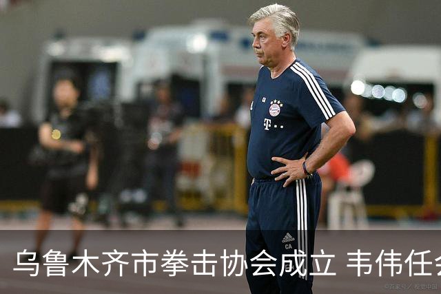 乌鲁木齐市拳击协会成立 韦伟任会长
